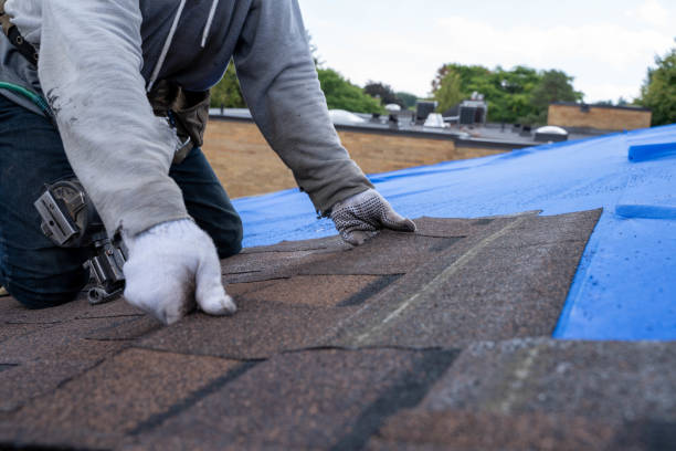 Best Gutter Installation and Roofing  in Fridley, MN