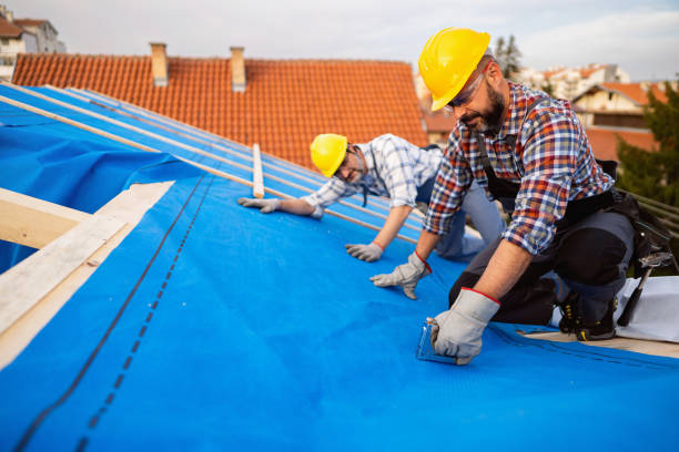 Best New Roof Installation  in Fridley, MN