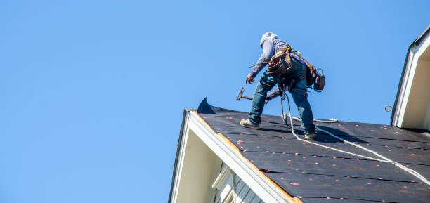 Sealant for Roof in Fridley, MN